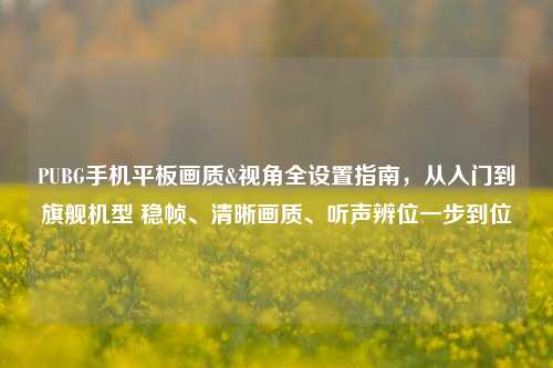 PUBG手机平板画质&视角全设置指南，从入门到旗舰机型 稳帧、清晰画质、听声辨位一步到位