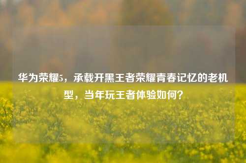华为荣耀5，承载开黑王者荣耀青春记忆的老机型，当年玩王者体验如何？