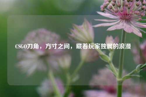 CSGO刀角，方寸之间，藏着玩家独属的浪漫