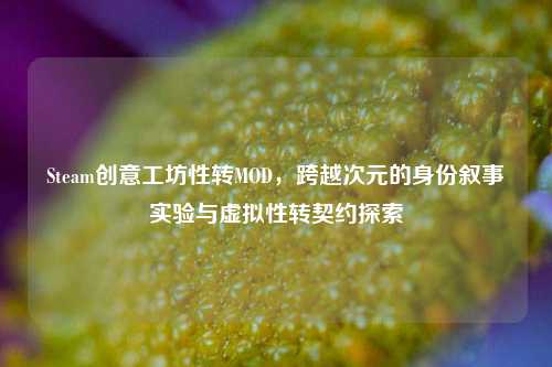 Steam创意工坊性转MOD,跨越次元的身份叙事实验与虚拟性转契约探索