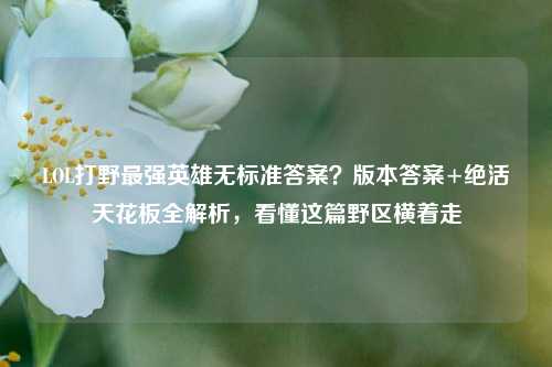 LOL打野最强英雄无标准答案？版本答案+绝活天花板全解析，看懂这篇野区横着走