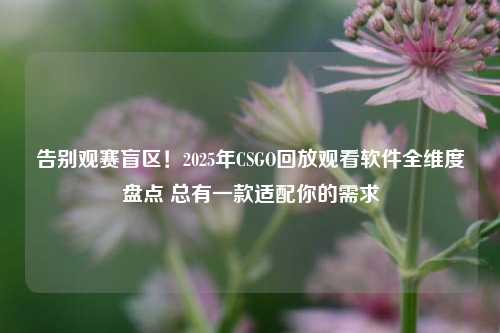 告别观赛盲区！2025年CSGO回放观看软件全维度盘点 总有一款适配你的需求