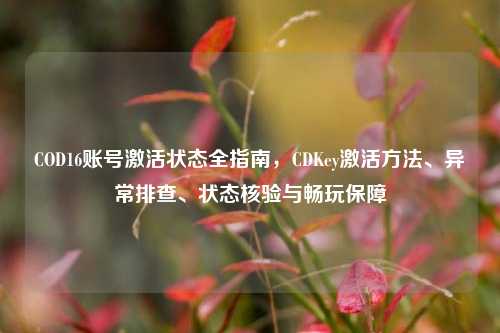 COD16账号激活状态全指南，CDKey激活方法、异常排查、状态核验与畅玩保障