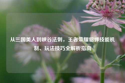 从三国美人到峡谷法刺，王者荣耀貂蝉技能机制、玩法技巧全解析指南