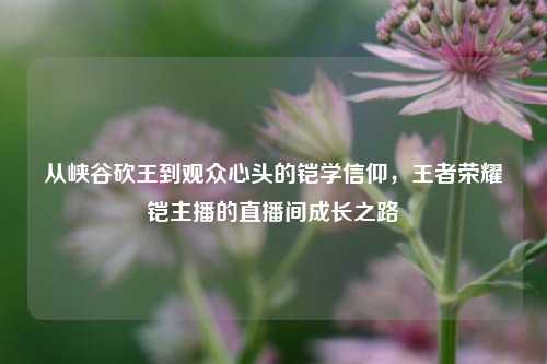 从峡谷砍王到观众心头的铠学信仰，王者荣耀铠主播的直播间成长之路