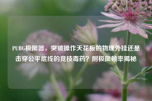 PUBG极限器，突破操作天花板的物理外挂还是击穿公平底线的竞技毒药？附极限帧率揭秘