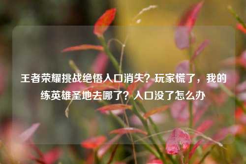 王者荣耀挑战绝悟入口消失？玩家慌了，我的练英雄圣地去哪了？入口没了怎么办
