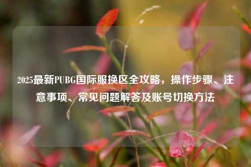 2025最新PUBG国际服换区全攻略，操作步骤、注意事项、常见问题解答及账号切换方法
