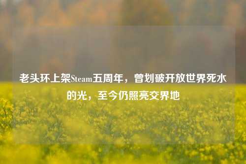 老头环上架Steam五周年，曾划破开放世界死水的光，至今仍照亮交界地