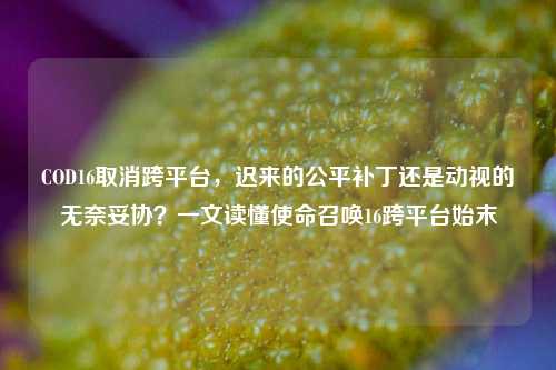 COD16取消跨平台，迟来的公平补丁还是动视的无奈妥协？一文读懂使命召唤16跨平台始末