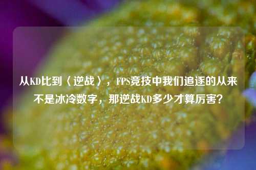 从KD比到〈逆战〉，FPS竞技中我们追逐的从来不是冰冷数字，那逆战KD多少才算厉害？