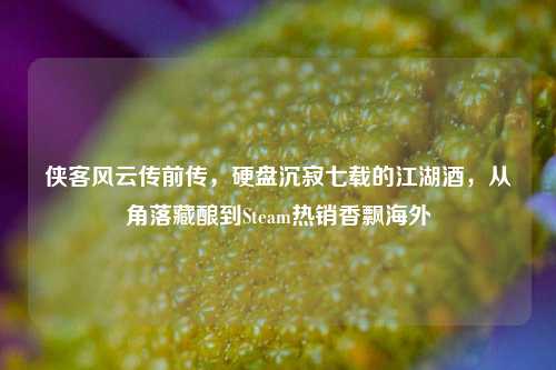 侠客风云传前传，硬盘沉寂七载的江湖酒，从角落藏酿到Steam热销香飘海外