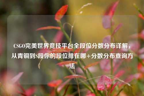 CSGO完美世界竞技平台全段位分数分布详解，从青铜到S段你的段位排在哪+分数分布查询方法
