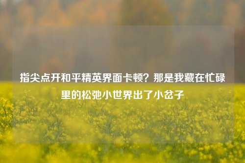 指尖点开和平精英界面卡顿?那是我藏在忙碌里的松弛小世界出了小岔子