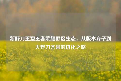新野刀重塑王者荣耀野区生态，从版本弃子到大野刀答案的进化之路