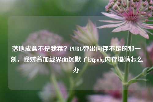 落地成盒不是我菜？PUBG弹出内存不足的那一刻，我对着加载界面沉默了玩pubg内存爆满怎么办