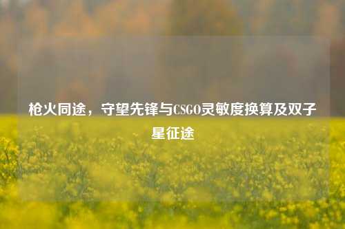 枪火同途，守望先锋与CSGO灵敏度换算及双子星征途