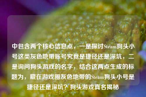 中包含两个核心信息点，一是探讨Steam狗头小号这类灰色地带账号究竟是捷径还是深坑，二是询问狗头游戏的名字，结合这两点生成的标题为，藏在游戏圈灰色地带的Steam狗头小号是捷径还是深坑？狗头游戏真名揭秘