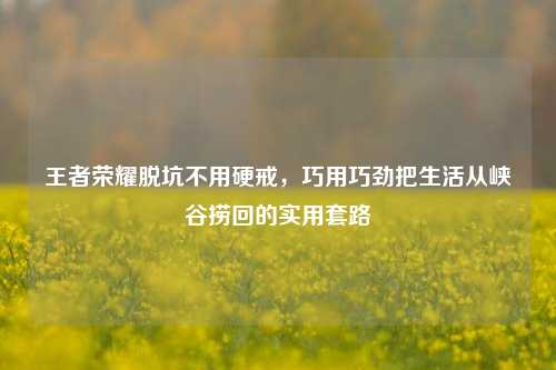 王者荣耀脱坑不用硬戒，巧用巧劲把生活从峡谷捞回的实用套路