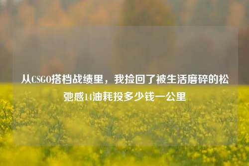 从CSGO搭档战绩里，我捡回了被生活磨碎的松弛感14油耗投多少钱一公里