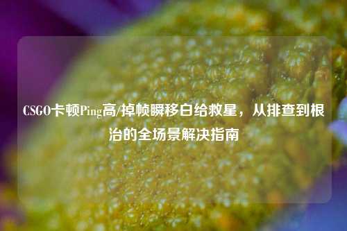 CSGO卡顿Ping高/掉帧瞬移白给救星，从排查到根治的全场景解决指南