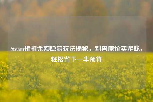 Steam折扣余额隐藏玩法揭秘,别再原价买游戏,轻松省下一半预算