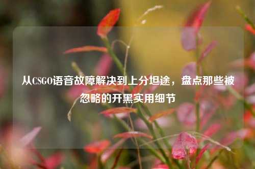 从CSGO语音故障解决到上分坦途，盘点那些被忽略的开黑实用细节