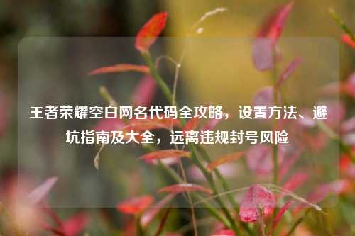 王者荣耀空白网名代码全攻略，设置方法、避坑指南及大全，远离违规封号风险