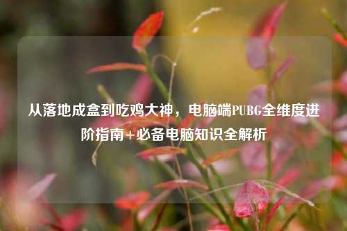 从落地成盒到吃鸡大神,电脑端PUBG全维度进阶指南+必备电脑知识全解析