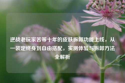 逆战老玩家苦等十年的皮肤拆卸功能上线，从一装定终身到自由搭配，实测体验与拆卸方法全解析