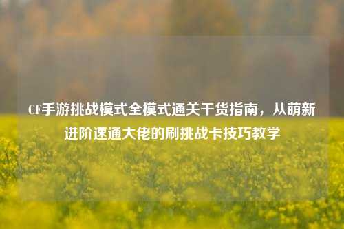 CF手游挑战模式全模式通关干货指南，从萌新进阶速通大佬的刷挑战卡技巧教学