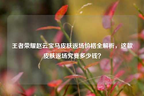 王者荣耀赵云宝马皮肤返场价格全解析,这款皮肤返场究竟多少钱?