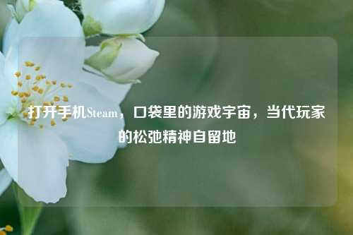 打开手机Steam，口袋里的游戏宇宙，当代玩家的松弛精神自留地