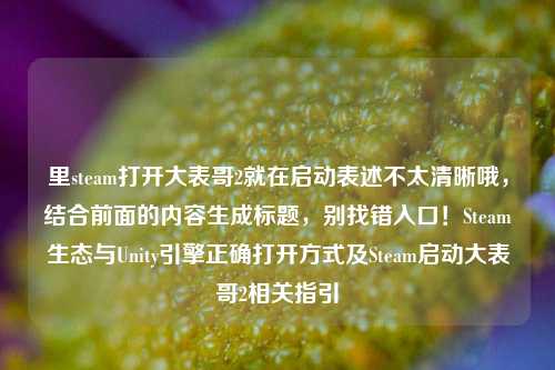 里steam打开大表哥2就在启动表述不太清晰哦，结合前面的内容生成标题，别找错入口！Steam生态与Unity引擎正确打开方式及Steam启动大表哥2相关指引