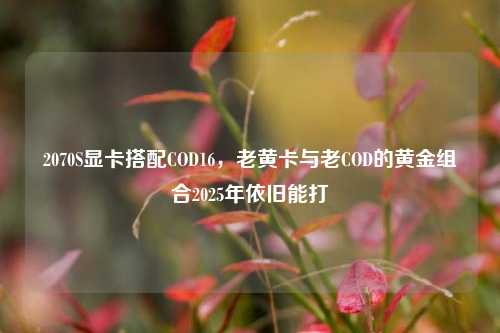 2070S显卡搭配COD16，老黄卡与老COD的黄金组合2025年依旧能打