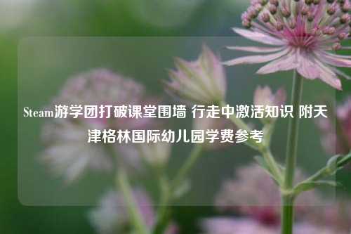 Steam游学团打破课堂围墙 行走中激活知识 附天津格林国际幼儿园学费参考