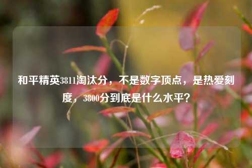 和平精英3811淘汰分，不是数字顶点，是热爱刻度，3800分到底是什么水平？
