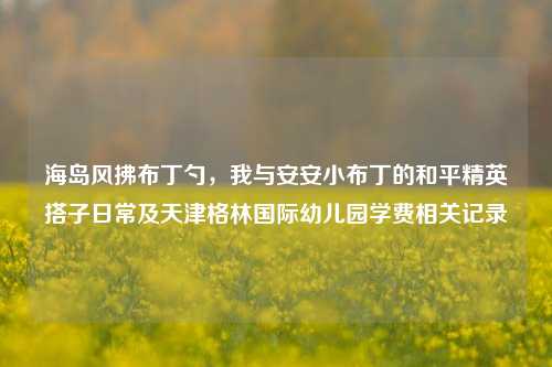 海岛风拂布丁勺,我与安安小布丁的和平精英搭子日常及天津格林国际幼儿园学费相关记录