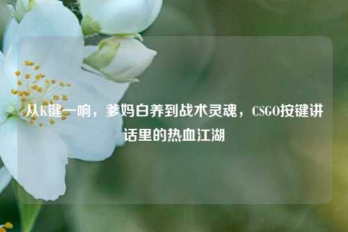 从K键一响，爹妈白养到战术灵魂，CSGO按键讲话里的热血江湖