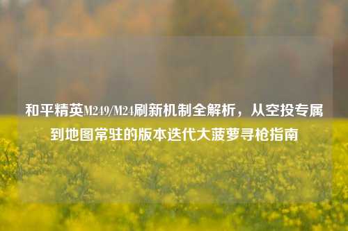 和平精英M249/M24刷新机制全解析，从空投专属到地图常驻的版本迭代大菠萝寻枪指南