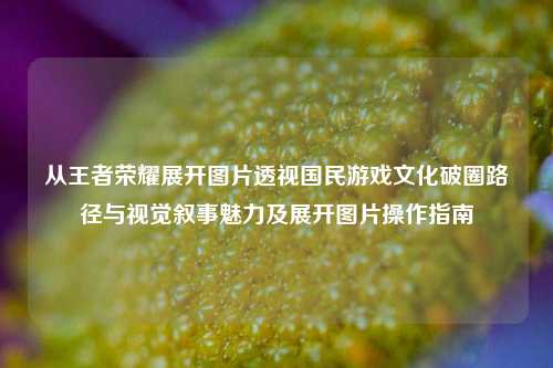 从王者荣耀展开图片透视国民游戏文化破圈路径与视觉叙事魅力及展开图片操作指南