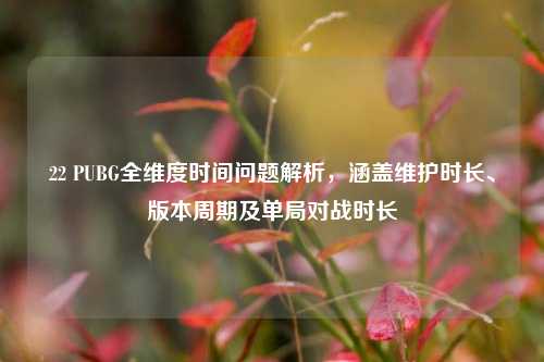 22 PUBG全维度时间问题解析，涵盖维护时长、版本周期及单局对战时长