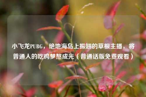 小飞龙PUBG,绝地海岛上振翅的草根主播,将普通人的吃鸡梦熬成光(普通话版免费观看)