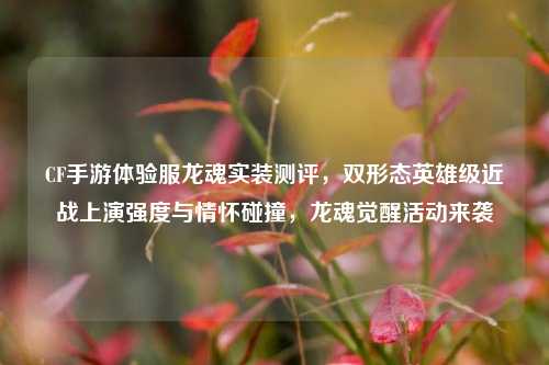 CF手游体验服龙魂实装测评,双形态英雄级近战上演强度与情怀碰撞,龙魂觉醒活动来袭