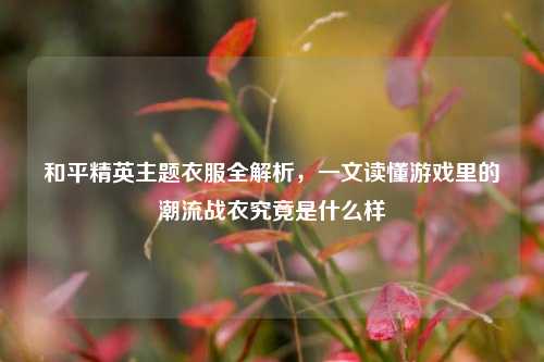 和平精英主题衣服全解析，一文读懂游戏里的潮流战衣究竟是什么样