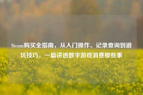Steam购买全指南，从入门操作、记录查询到避坑技巧，一篇讲透数字游戏消费那些事