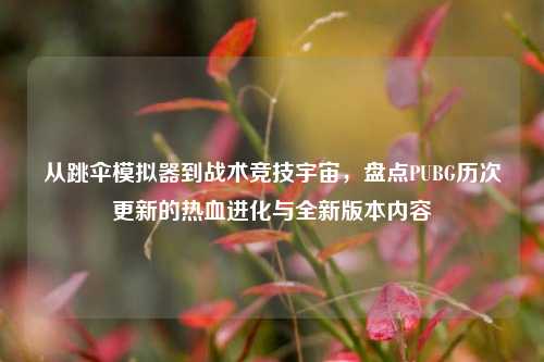 从跳伞模拟器到战术竞技宇宙,盘点PUBG历次更新的热血进化与全新版本内容
