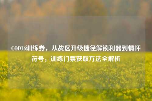 COD16训练券，从战区升级捷径解锁利器到情怀符号，训练门票获取方法全解析