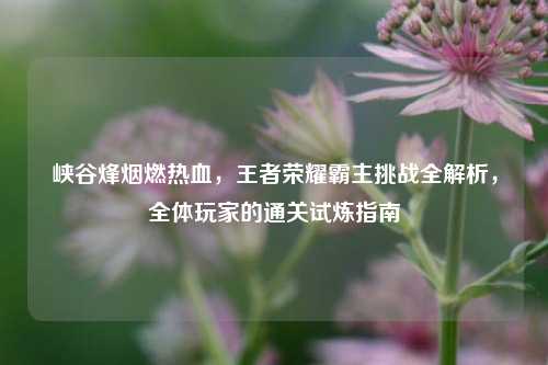 峡谷烽烟燃热血，王者荣耀霸主挑战全解析，全体玩家的通关试炼指南