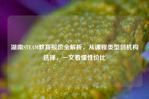 湖南STEAM教育报价全解析,从课程类型到机构选择,一文看懂性价比